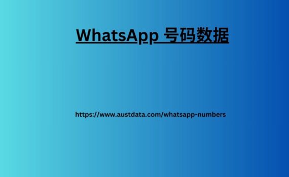 WhatsApp 号码数据